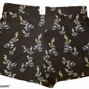 NWT LOFT pull on shorts